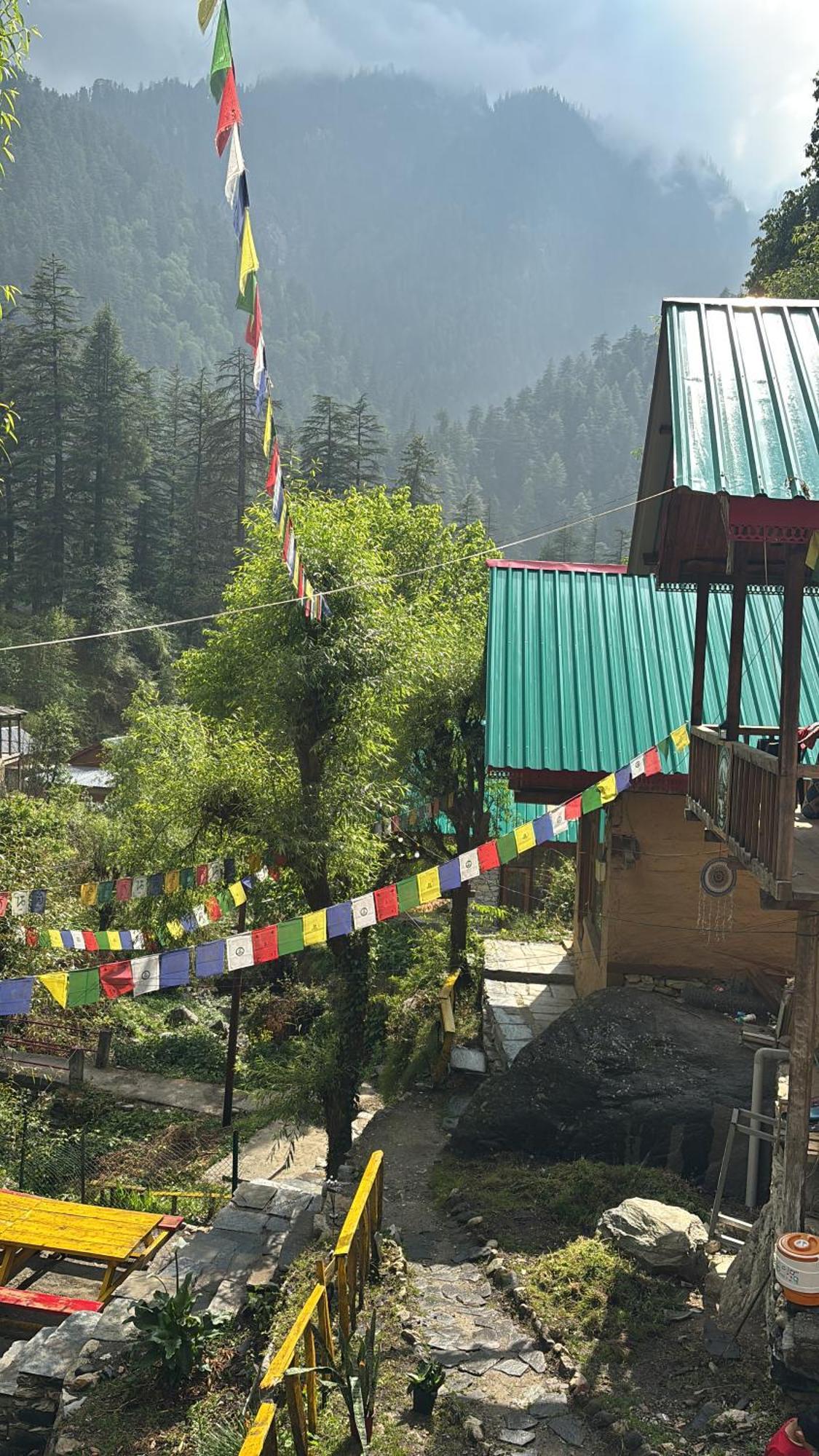 The Cozy Cabin, Jibhi Banjār Eksteriør billede